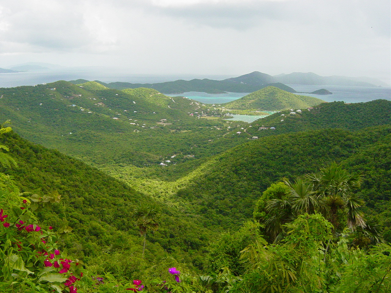Green valley between hills leads down to the ocean