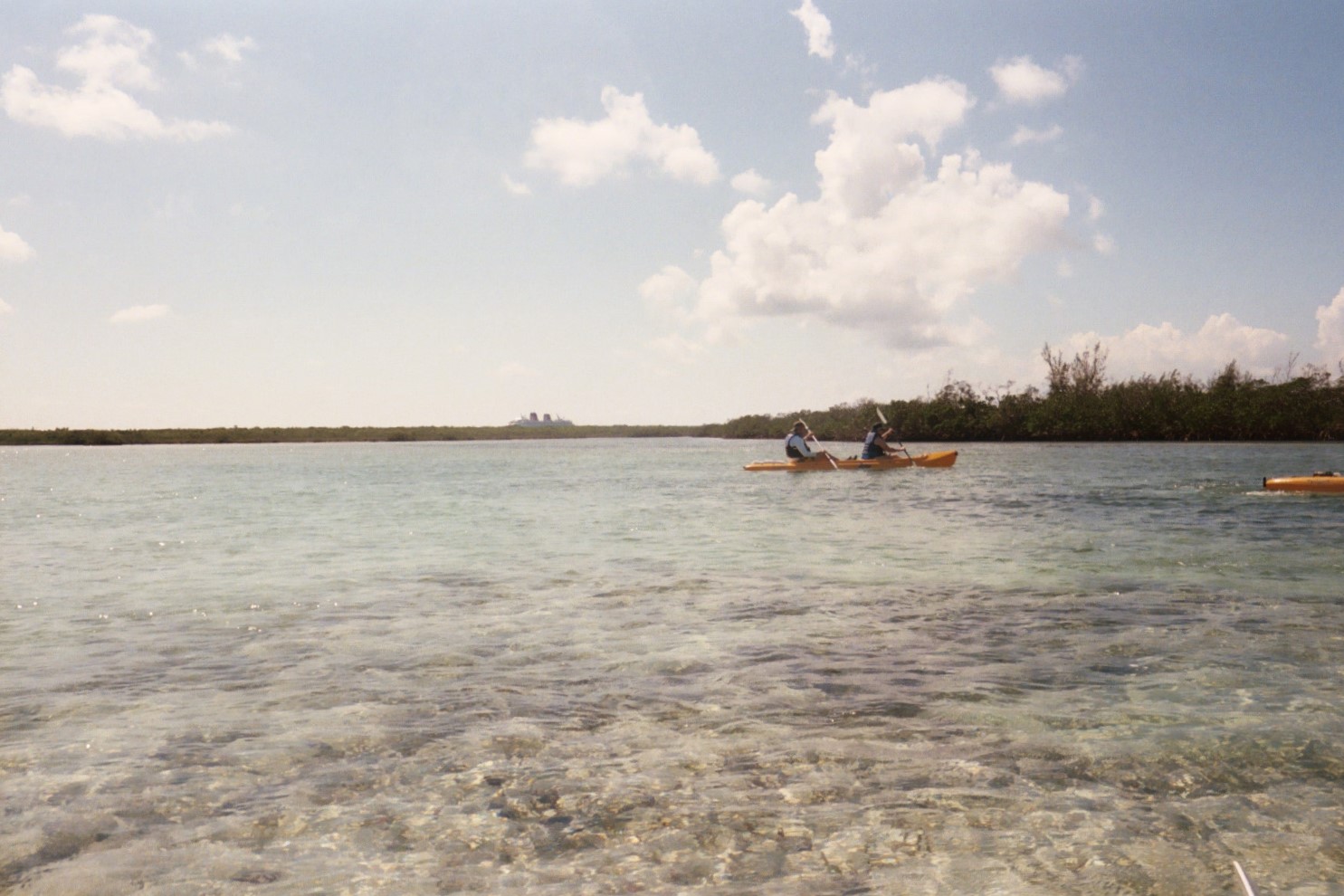 Water and scrub brush with ship's funnels visible in distance