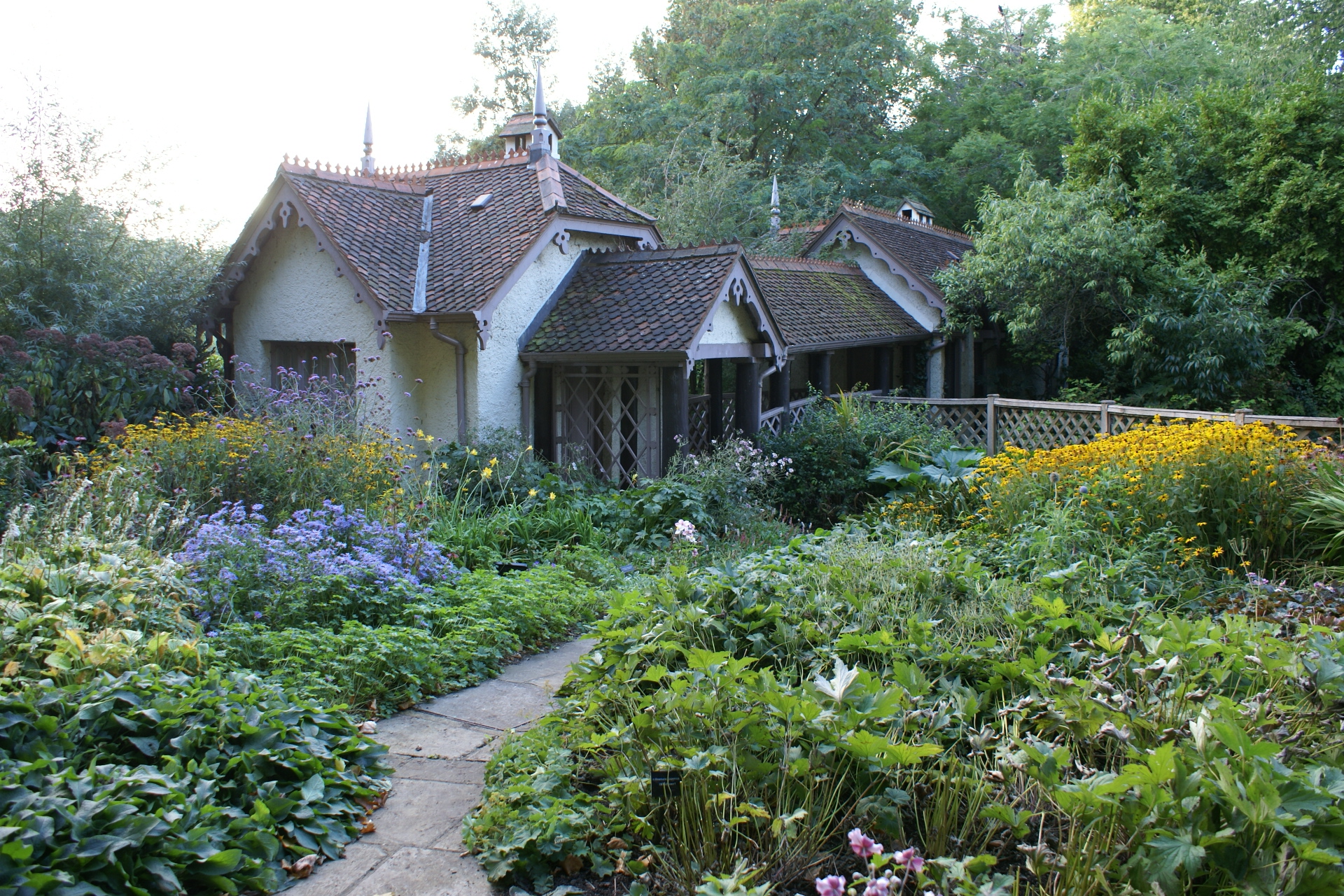 A partial scale house with many plants growing up against it