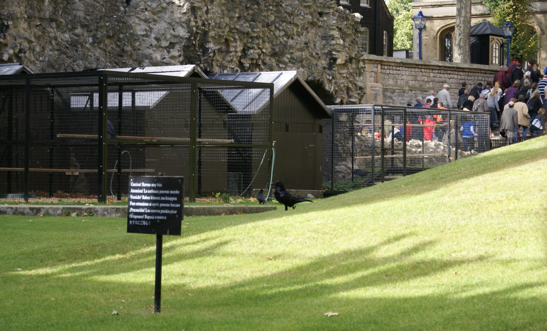 Cages and small wooden structures next to a rough stone wall