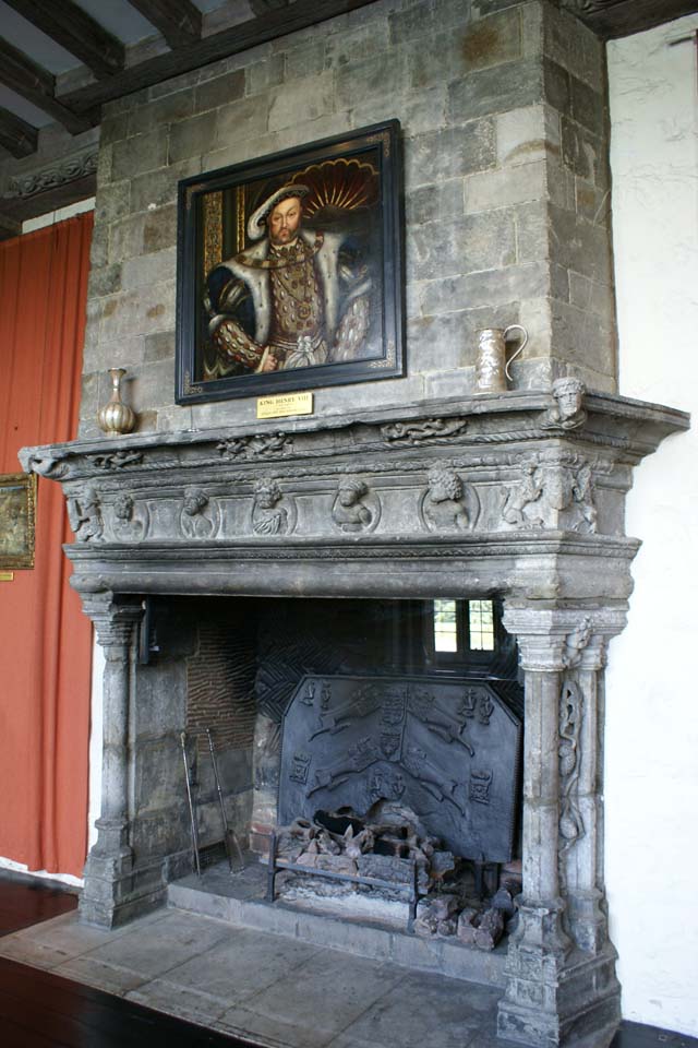 Gray stone fireplace with painting of Henry VIII above