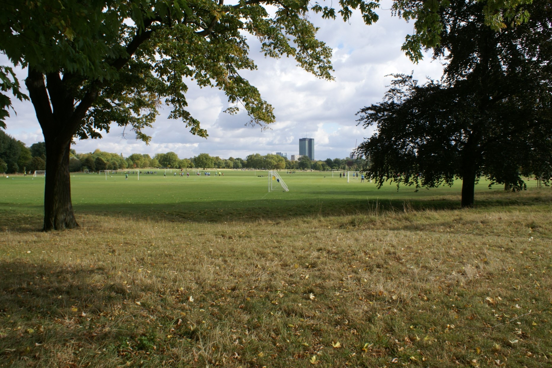 Brown grass edges up to green manicured fields with soccer goals