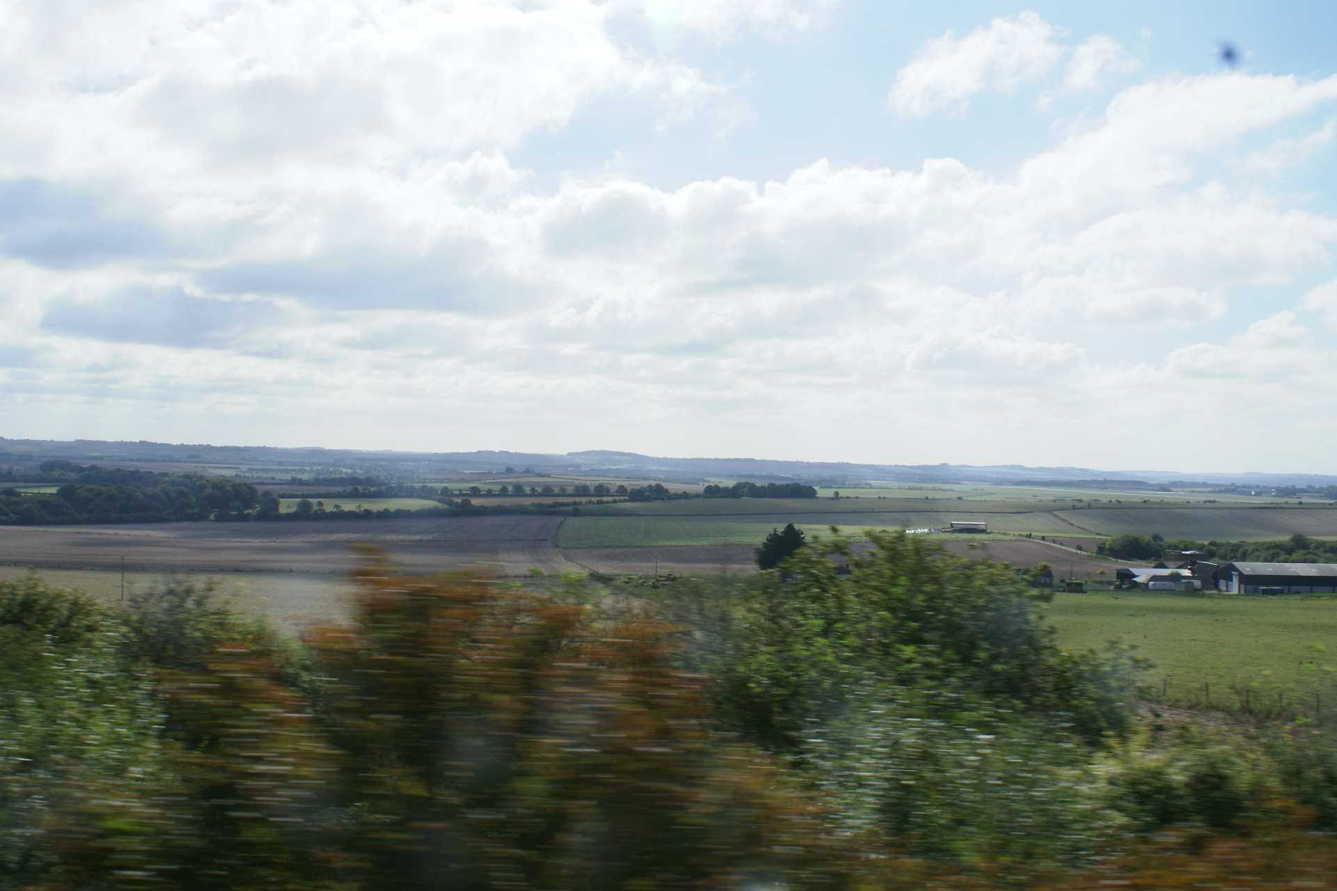 Farm fields beyond bushes blurred by the movement of the camera