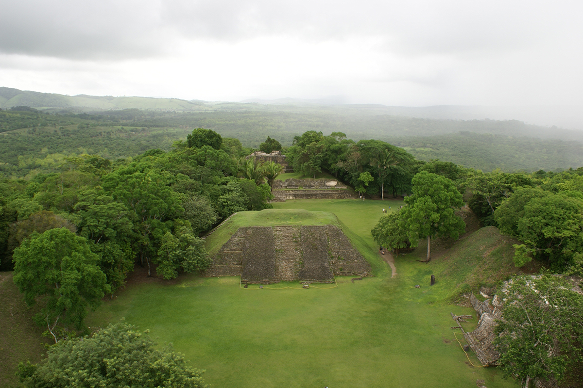 Looking down on green mounds in the trees that mark other buildings in the complex
