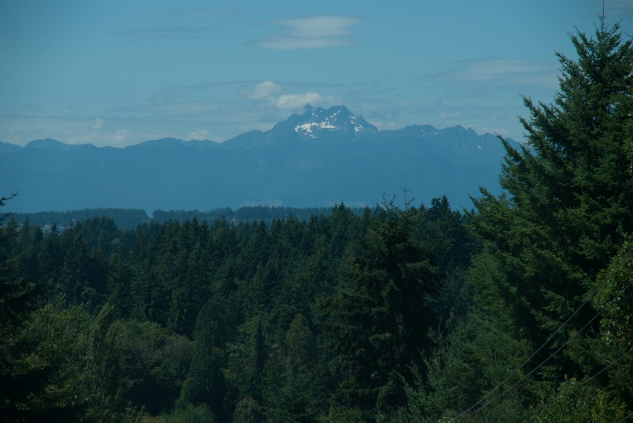 A forest of pine trees in the foreground gives way to a view of the peak of a mountain with areas of snow still visible sticking up toward scattered clouds above lower mountains nearby.
