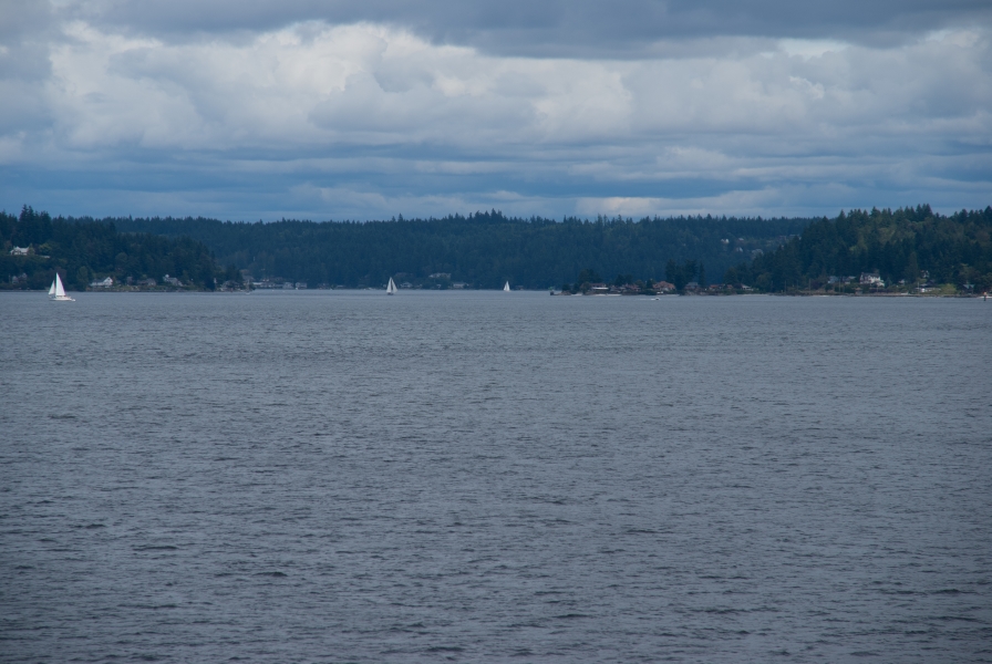 The white sails of several sailboats stand out against the green hills surrounding gray-blue water below mostly cloudy skies