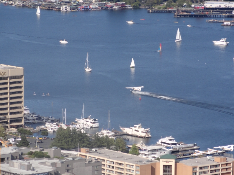 Several sail boats float just out of the path of a small plane with floats as is speeds through the water near a marina filled with large ships