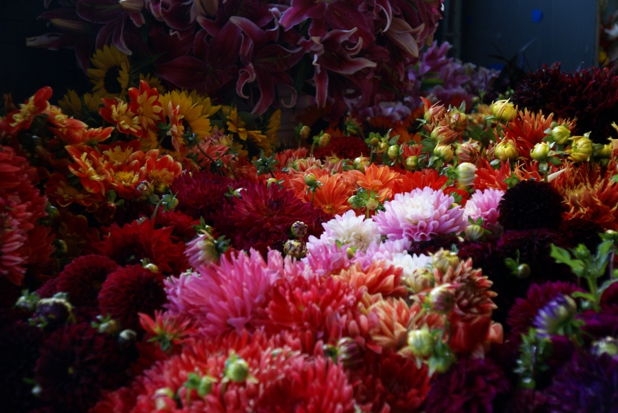 Dim light filters through high windows onto a table overflowing with red, yellow, pink, and white blooms.