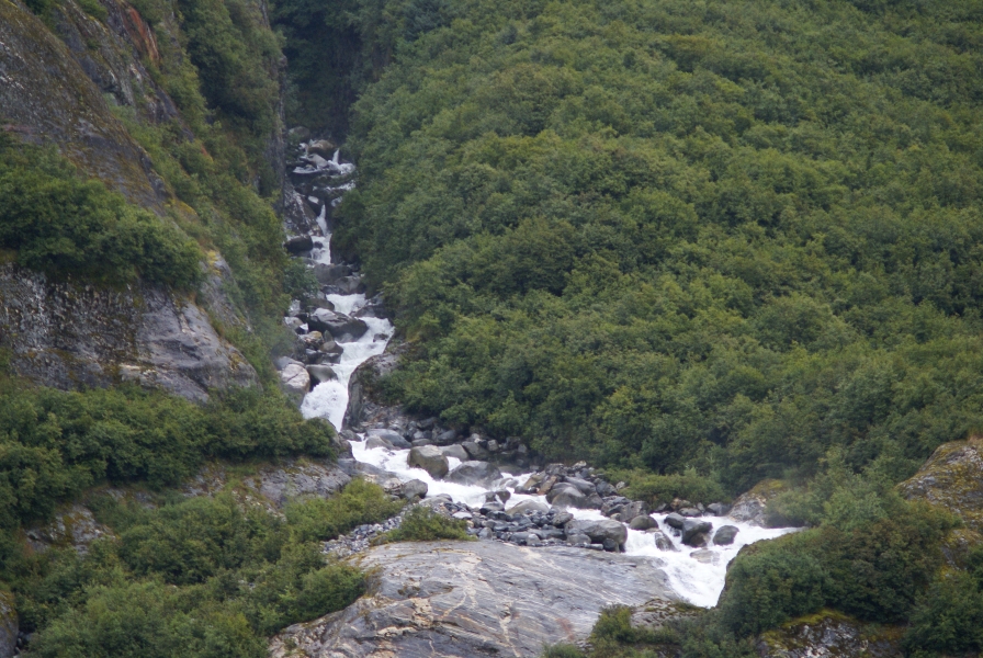 Water cascades over stones done a crevice in the fjord wall with small scrub plants flourishing on each side