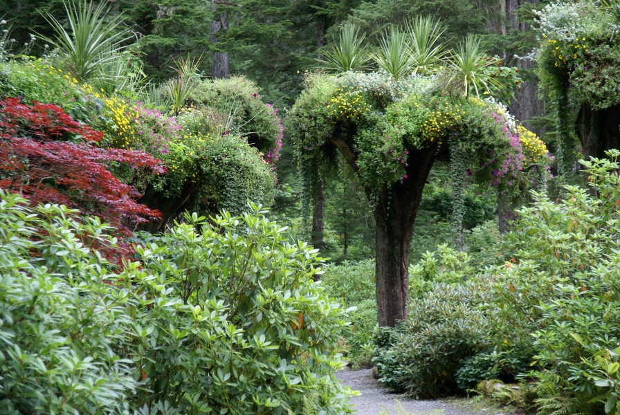 Yellow, pink, and white flowering plants create a canopy above a walkway supported by an old tree trunk