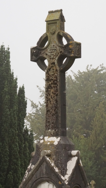 A stone cross with a ring at the crossing stand on a monument amongst trees and a dull gray sky