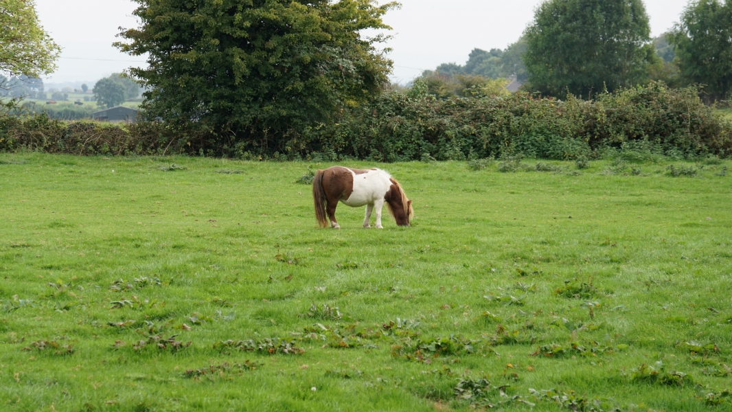 Image Eight