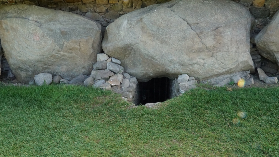 Image Three