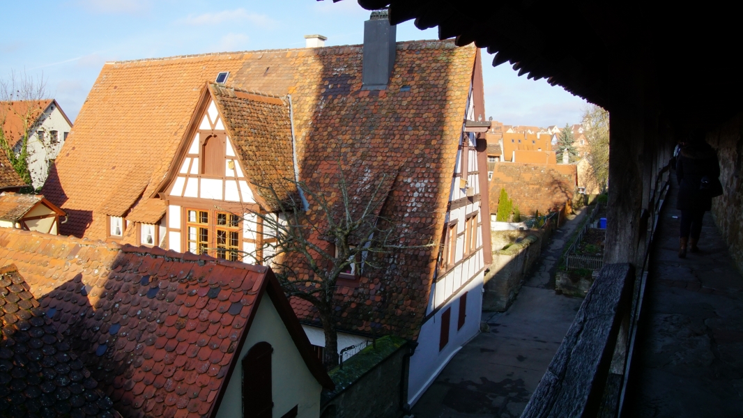 Image Three