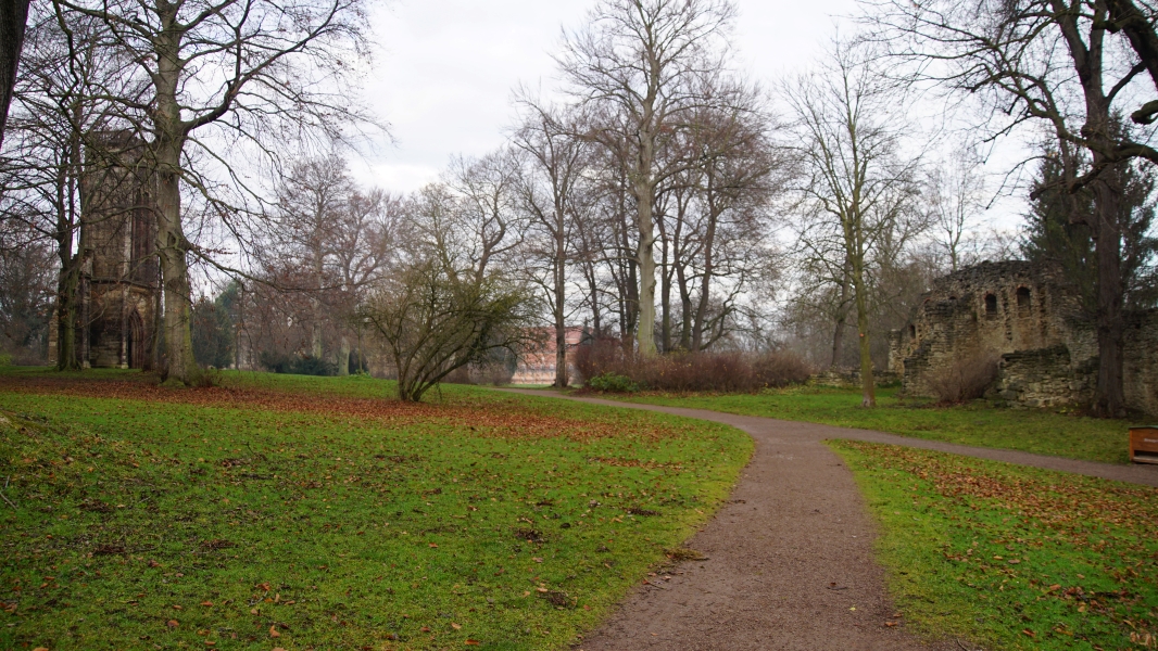 Image Three