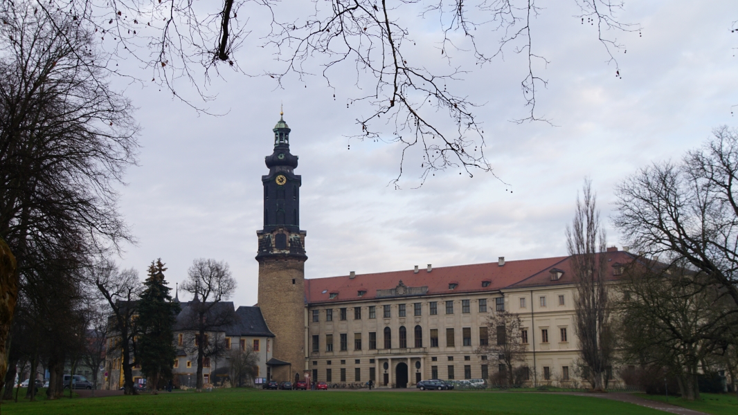 Image Four