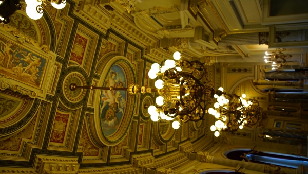 Image Seven