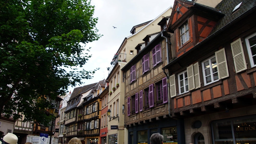 Image Seven