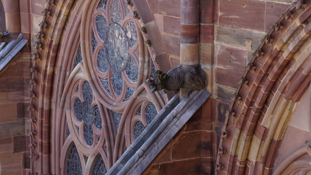 Image Seven