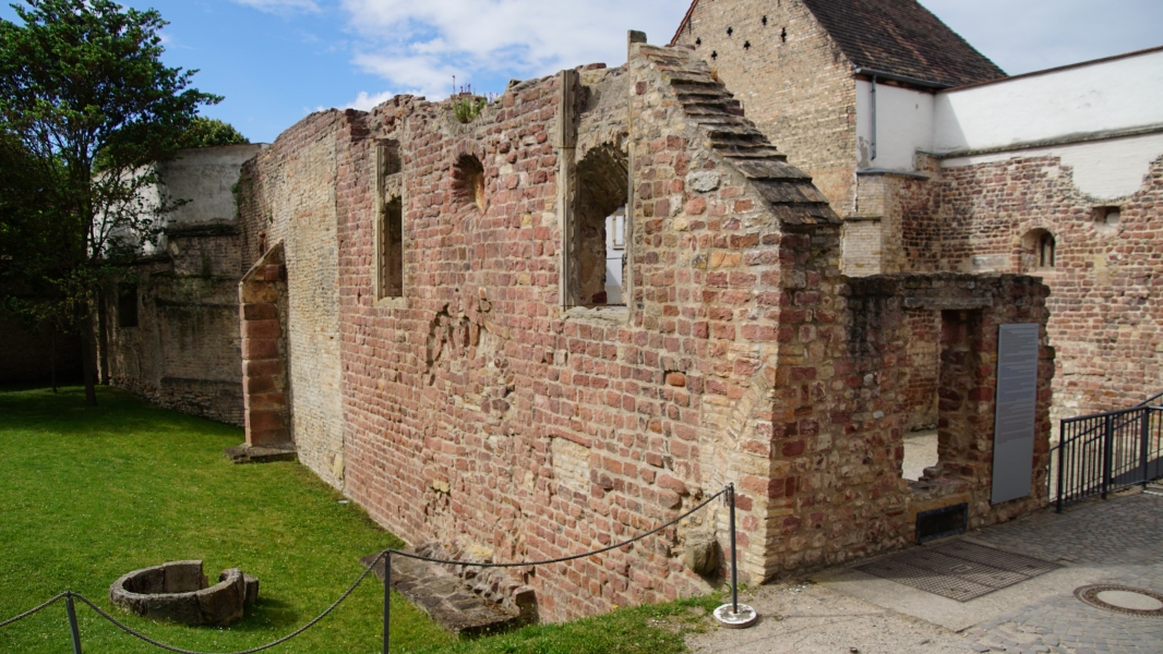 Image Five
