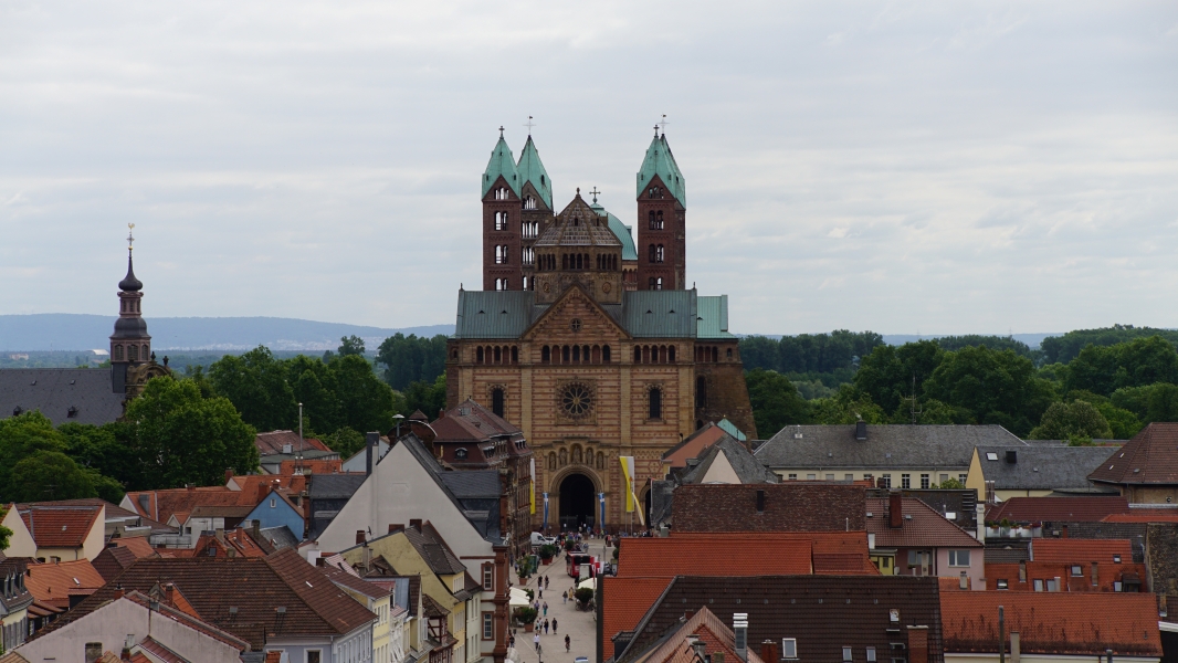 Image Seven