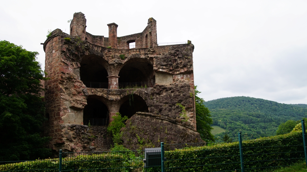 Image Fifteen