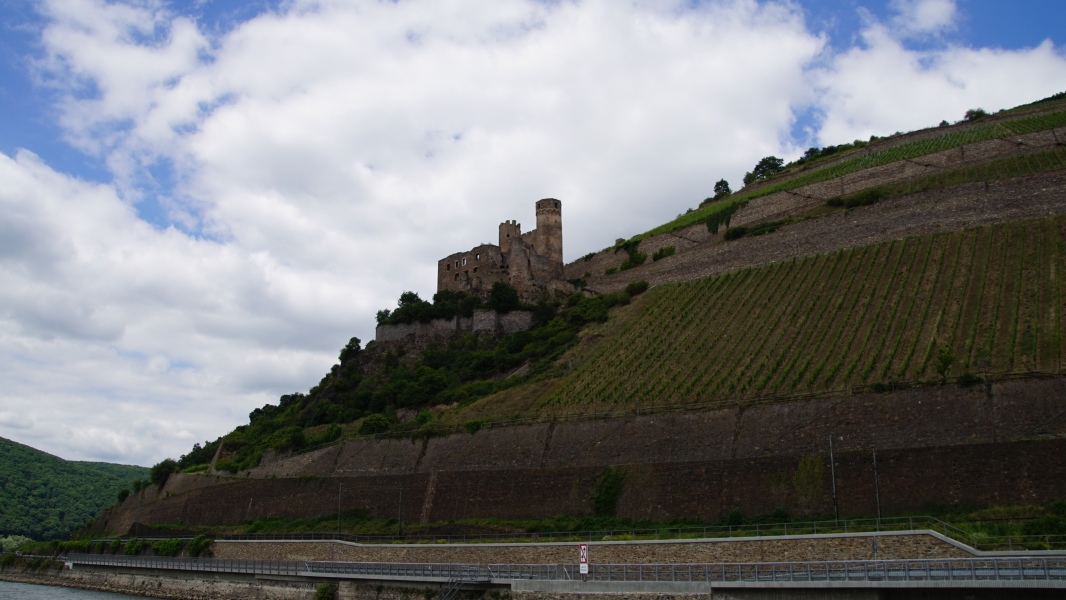 Image Seven
