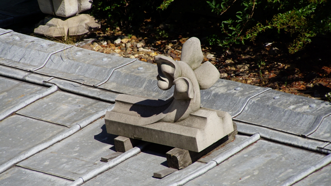Image Eight