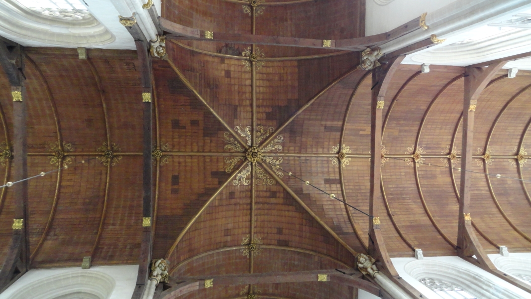 Image Seven