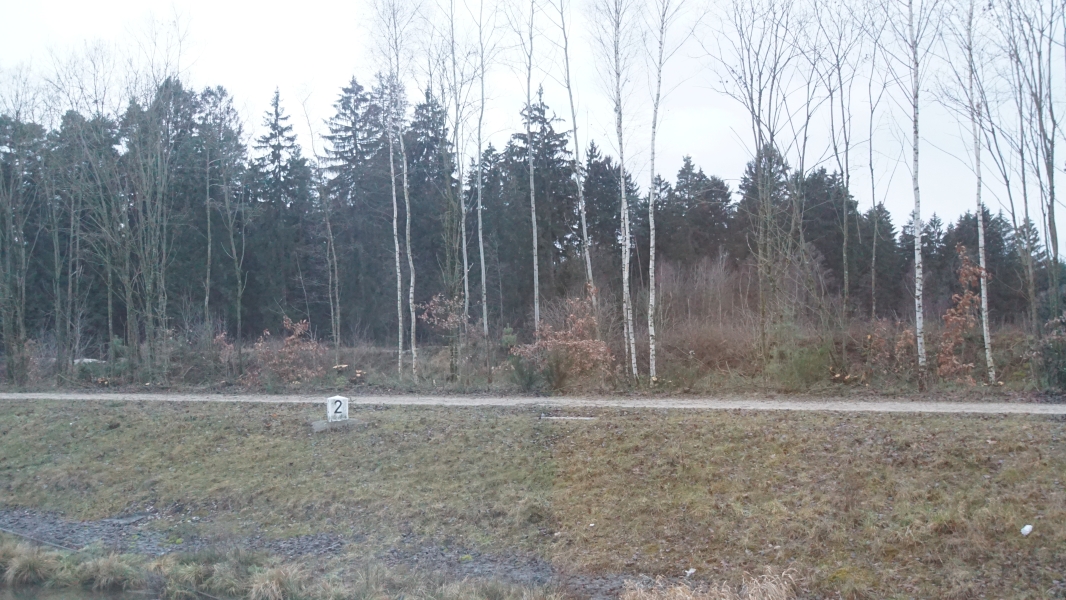 Image One