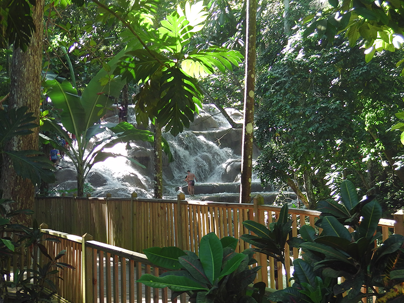 Water cascades down falls beyond trees and a bamboo railing