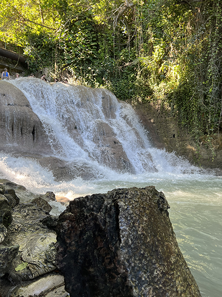 Water cascades over rocks under a green tree canopy