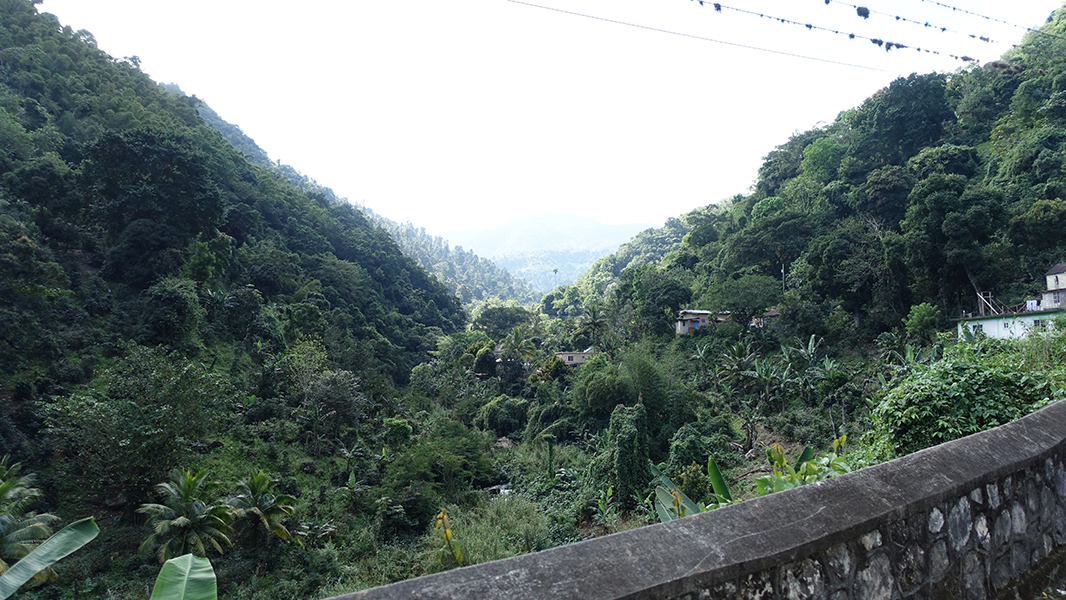 Houses nestled in the trees on the slopes of mountains