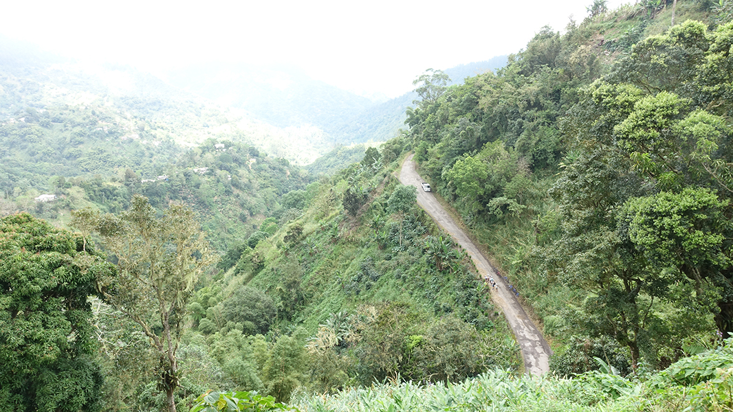 A road cuts across the side of the mountain with bike riders stopped