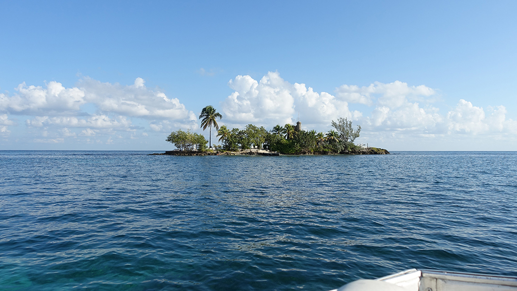 A small island with a dock, palm trees, and a stone tower sticks out of blue water