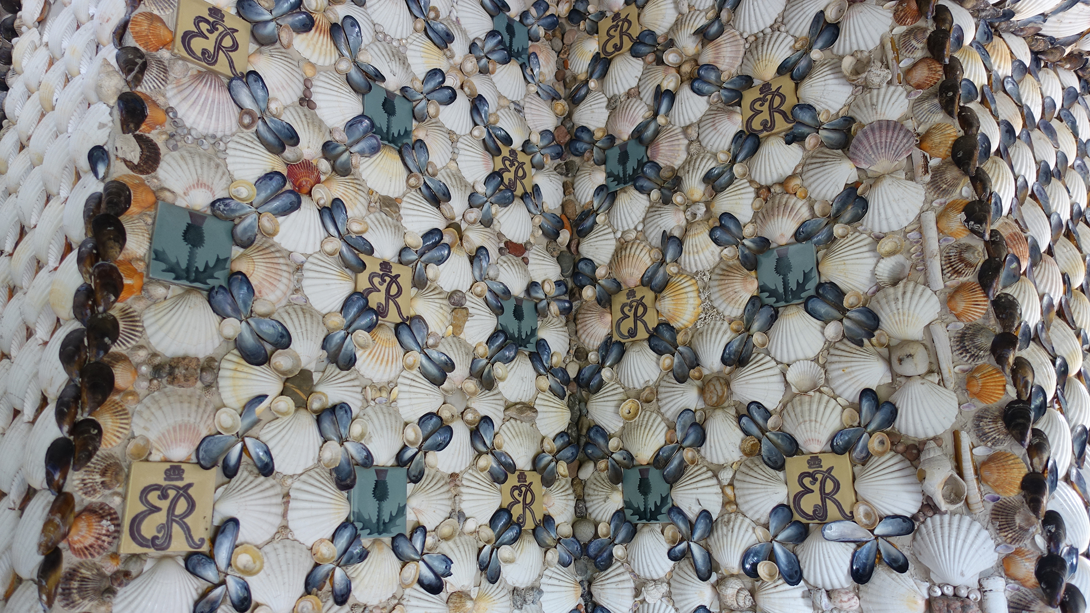 Seashells on wall in patterns around ceramic tiles