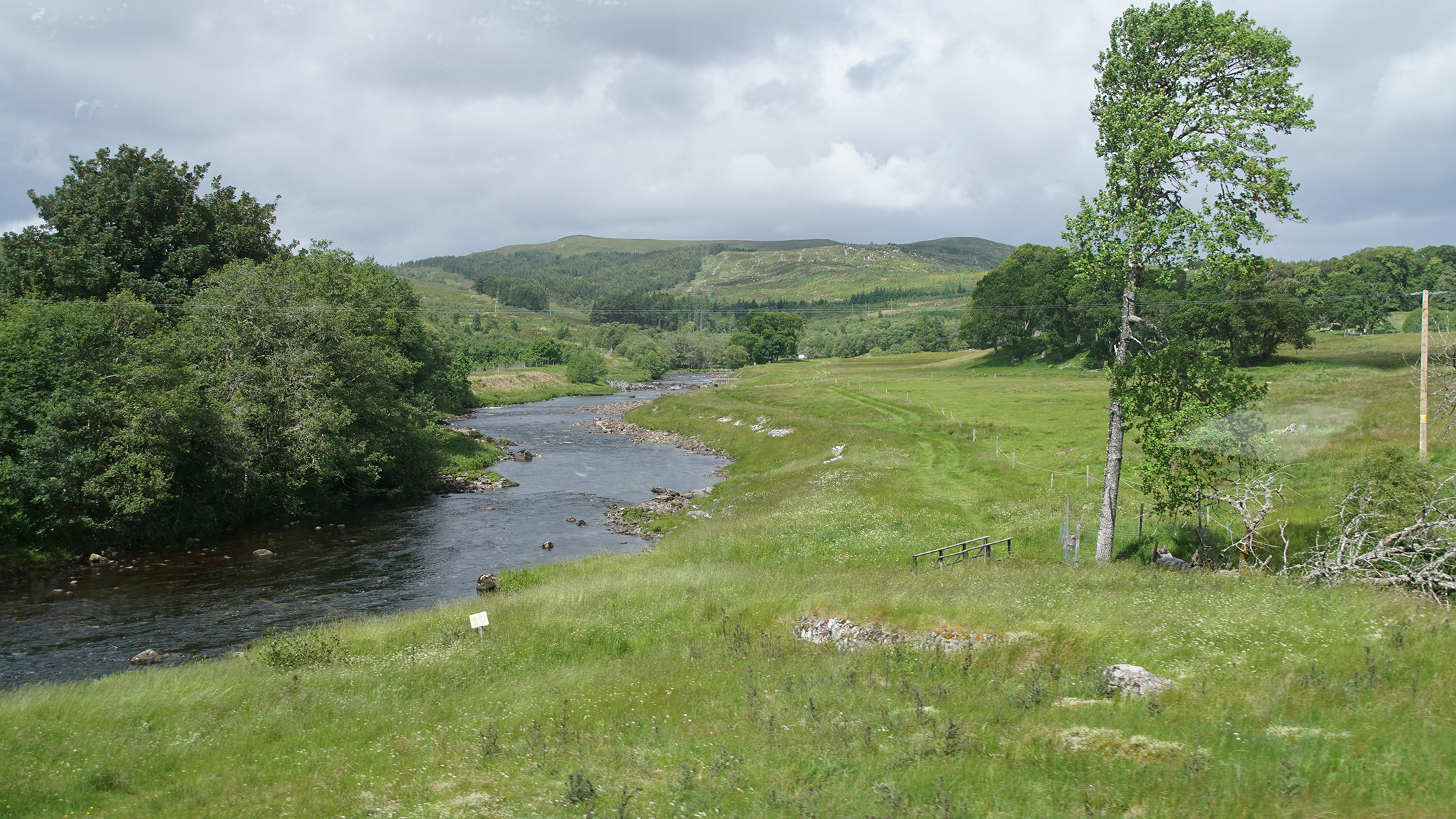 A river winds through green hills with small clumps of trees along its banks