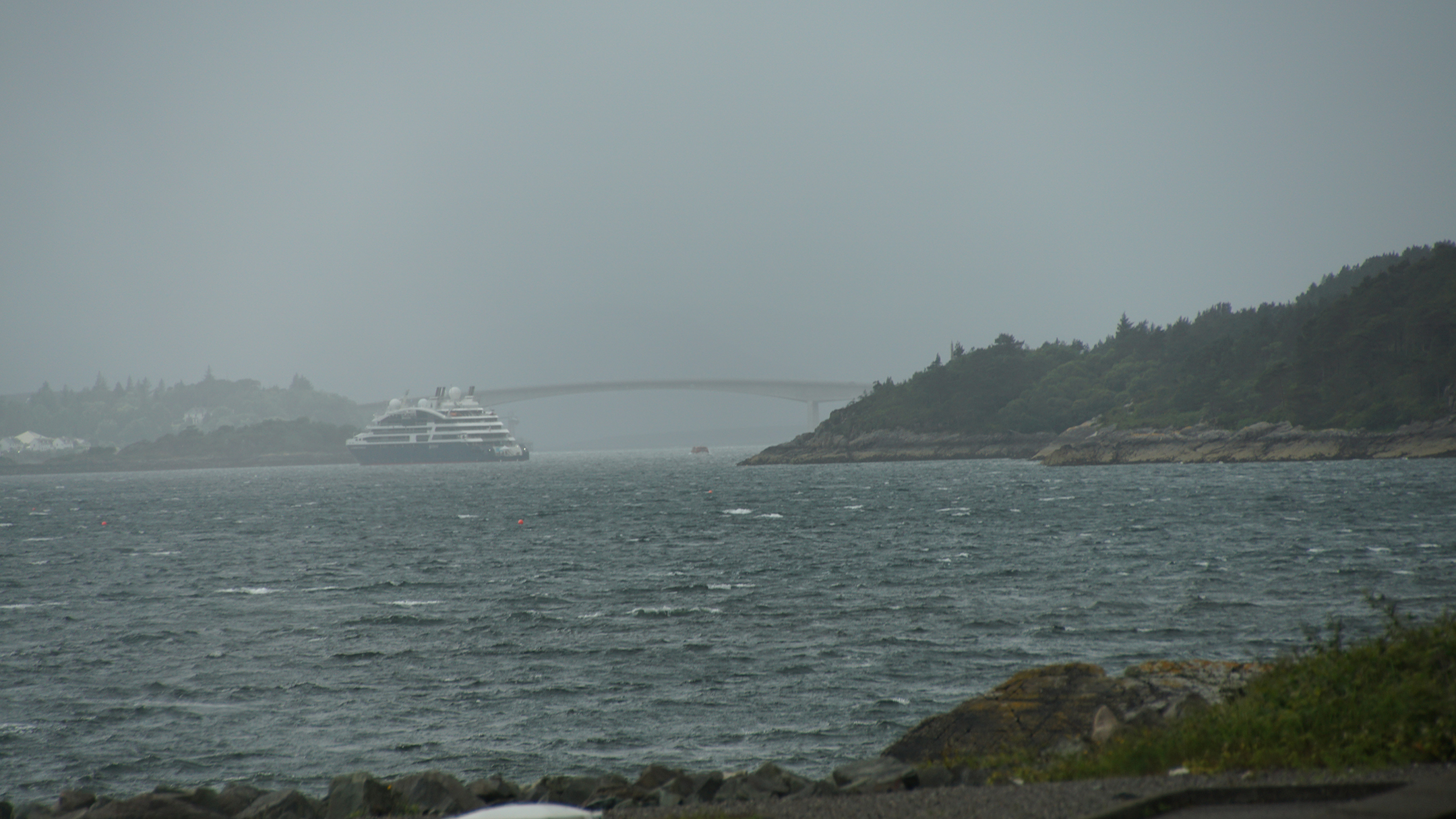 A cruise ships sits in the waters before a long span arched bridged