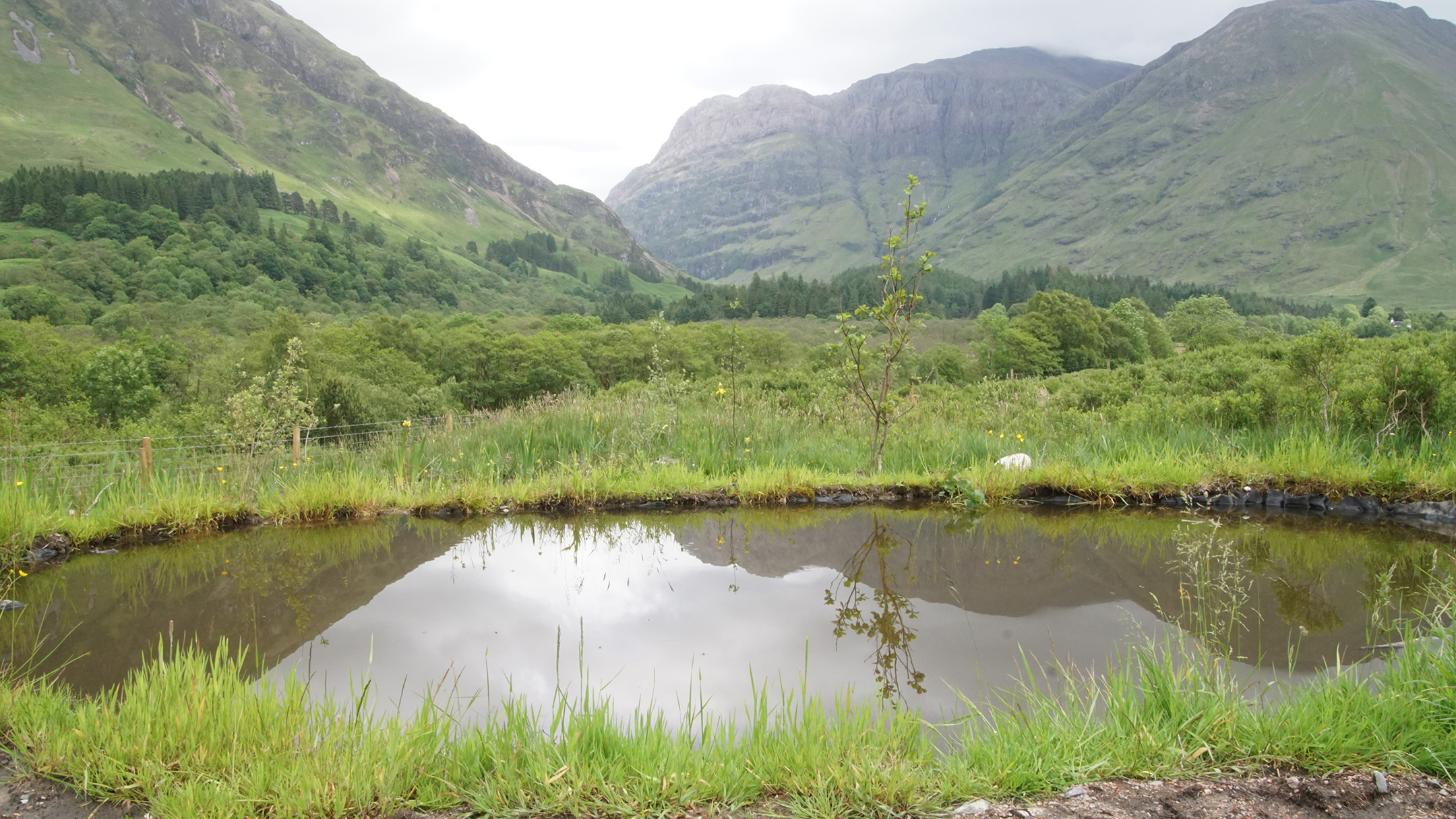 Green hills reflected in a still pool of water