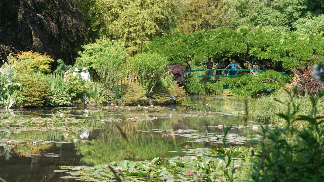Tourists stand on a small arched bridge over a pond filled with lilies surrounded by trees