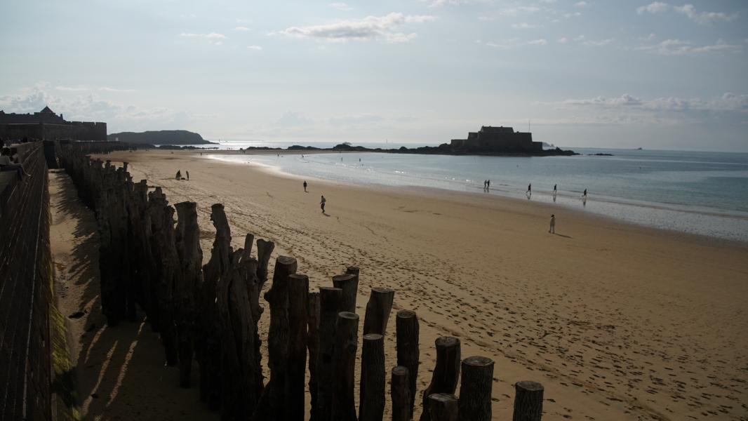 Tall tree trunks trimmed and positioned along a wall with a band of beach and sea water; in the distance a strip of stone sticks above the water connecting the wall to a fort on a taller portion of stone