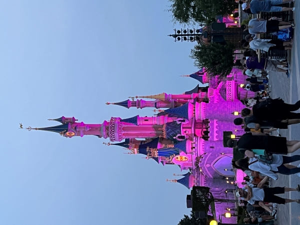 A castle lit with pink lights in dusk light