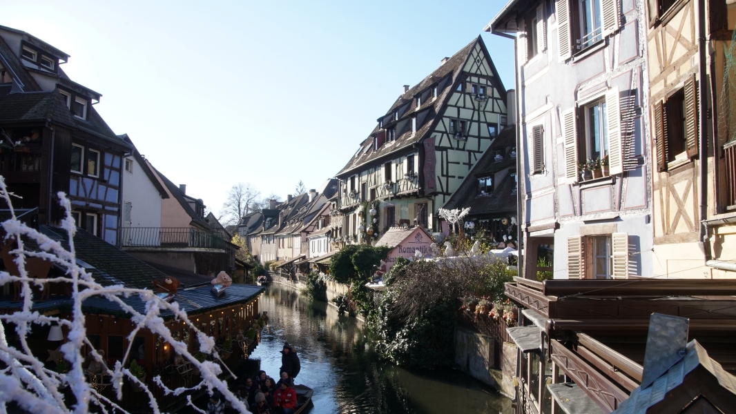 Image Four
