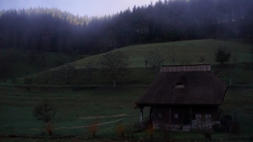 Image One