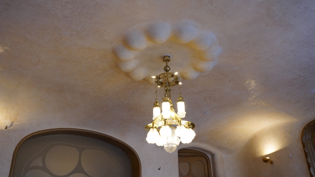 Image Five