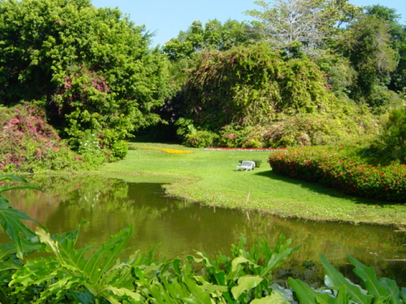 A manicured lawn surrounded by trees and shrubs runs up a hill from a pond