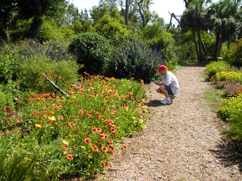 James crouches by a bed of flowering plants to take a picture