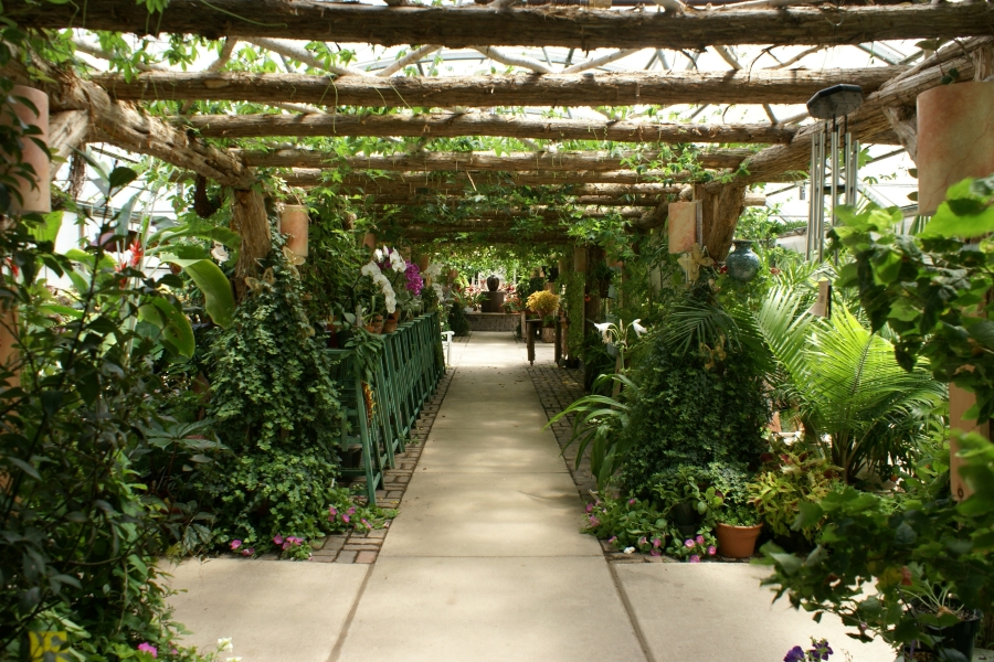 a wood trellis with vines runs above a sidwalk surrounded by various plants with a small bubbling fountain in the distance