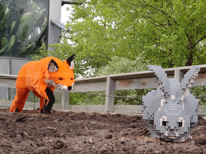 A bright orange fox sneaks up behind a gray rabbit; both are made of LEGO bricks