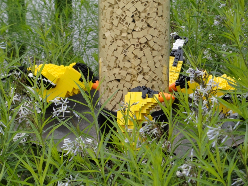A clear plastic tube is filled with small LEGO bricks; surrounding the base are several models of goldfinch, the Iowa State Bird